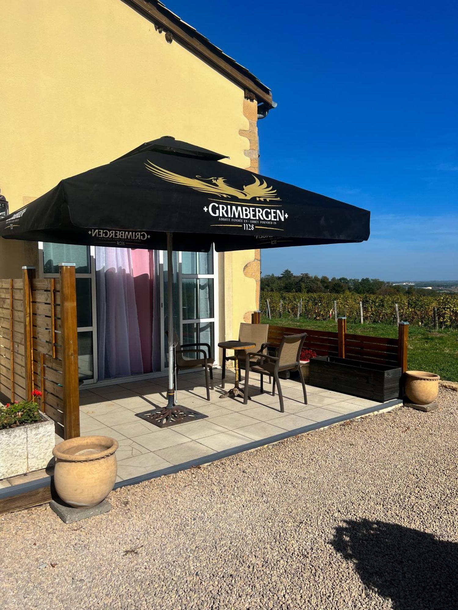 La Cote Des Blancs - Domaine Viticole & Maison D'Hotes Vinzelles Exterior foto